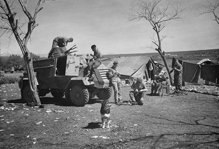 Otter de la RAF Otter de la RAF