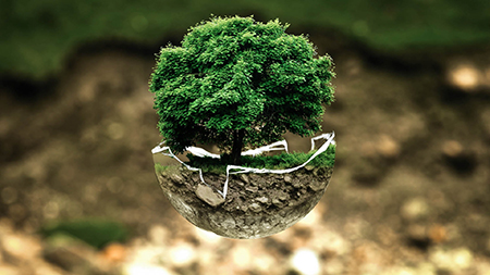 Jardín en miniatura Jardín en miniatura