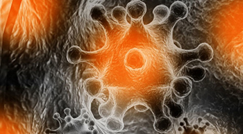 Imagen aumentada del virus responsable del VFVR (colores artificiales)