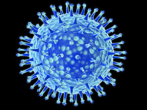 El virus de la gripe pillado in fraganti