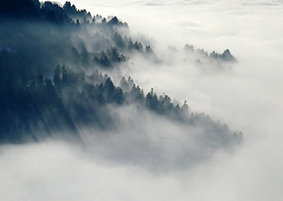 El Bosque de los Ausentes bajo la niebla [imagen sacada de pixabay.com, de cafepampa]