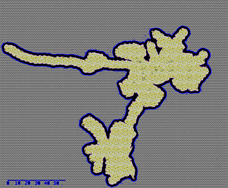 Caverna general. Jacobo Pea sobre obra de Finetooth para el National Park Service (2011). Oregon Caves Cave Map. Licencia Dominio Pblico.