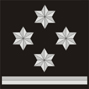 Almirante: cuatro estrellas de plata de seis puntas sobre galón de plata. Responsables de las grandes naves de combate de la armada como acorazados y, principalmente, portanaves. También pueden se responsables de pequeñas flotas comandadas por un acorazado.