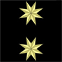Coronel: dos estrellas de oro de ocho puntas. Suelen ser la autoridad militar sobre varios puestos locales de la Armada. Adems, actan como segundo oficiales en las Legiones. Este es el ltimo ecalafn de los oficiales de la Infantera de Marina.